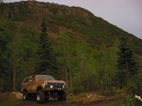 1985 Ford Bronco - This lifted Ford Bronco appears to be from the early 1980s, not a 1985 model as claimed.