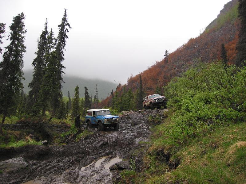 Blue and white early Bronco and red full-size Bronco on a muddy trail in foggy spruce timber