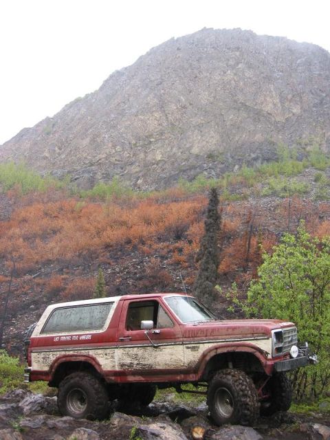 1985 Ford Bronco - This Ford Bronco appears to be from the early 1980s, not 1985, based on its body style.