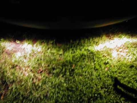 1997 Ford Taurus - Headlights illuminate grass at night, casting a shadow. A website logo is visible in the lower right corner.