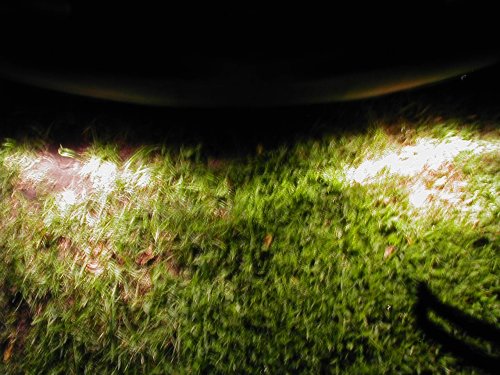 Close-up of grass illuminated by headlights, with a shadow of a person on the right. Supermotors.net logo in the corner
