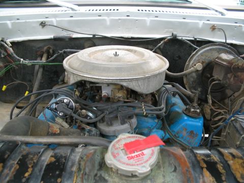 1979 Ford F-150 - Engine bay of a 1979 Ford F-150, showing the V8 engine and associated components.