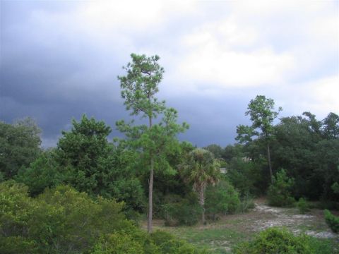 2000 Honda Accord - A landscape scene trees and a dramatic, cloudy sky, with a Supermotors logo visible at the bottom right.