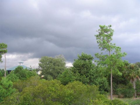 2000 Honda Accord - A building is partially visible through trees under a dark, cloudy sky.