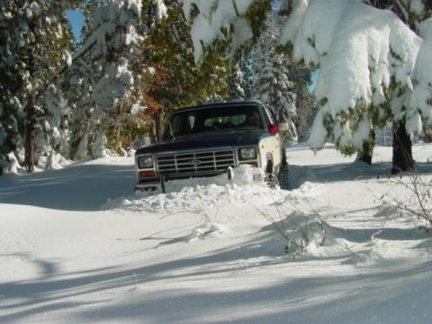 1986 Ford Bronco - where did the road go??
