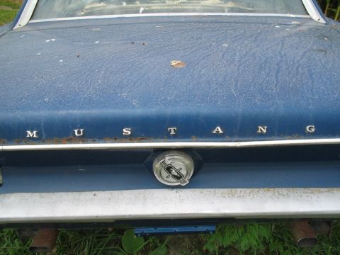 1967 Ford Mustang photo