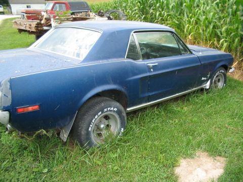 1967 Ford Mustang photo