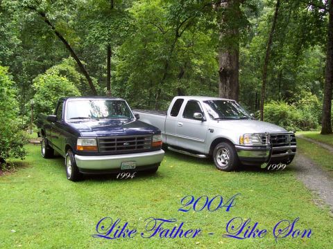 1994 Ford F-150 photo