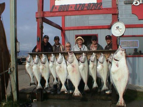 1979 Ford Bronco - Halibut fishing in Homer Alaska