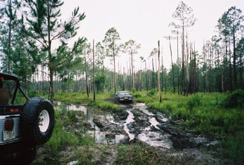 1995 Ford Bronco - Colby playing some more.