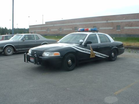 1999 Ford Crown Victoria - A black and white police car is parked in a lot next to another vehicle.