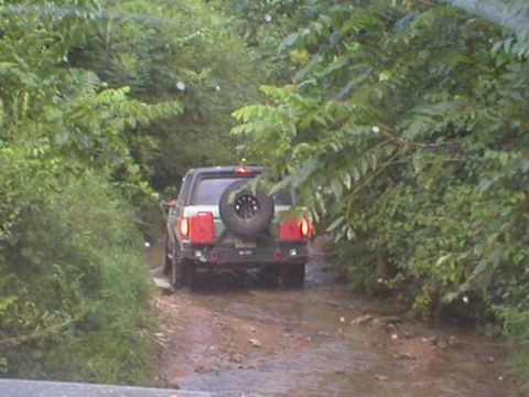 1994 Ford Bronco - This 1994 Ford Bronco navigates a muddy, wooded trail with a spare tire and two red jerrycans mounted on the rear bumper.