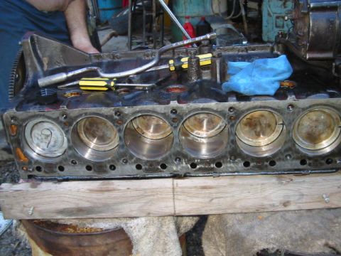 1985 Holden Commodore