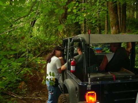 1990 Ford Bronco - Rear three-quarter view of a dark open-top 4x4 parked on a narrow wooded trail, fitted with a roll cage, bikini-style soft top, cage-mounte…