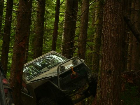 1990 Ford Bronco - A light-colored flat-hood 4x4 pitches steeply nose-down between fir trunks in a dark evergreen forest, windshield laid flat. Its tube front…