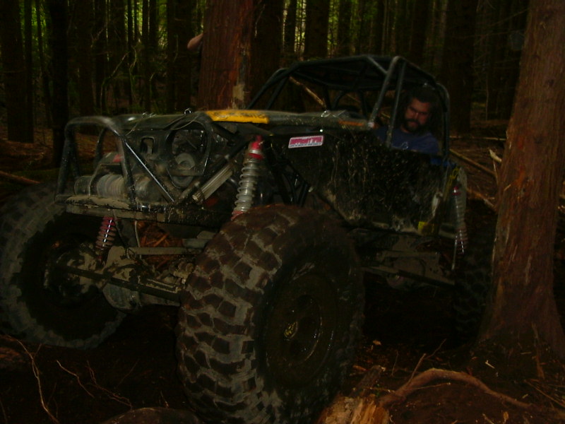 Modified off-road vehicle with roll cage and large tires in a forest