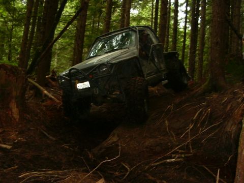 1990 Ford Bronco - This modified off-road vehicle navigates a challenging dirt path through a dense forest.
