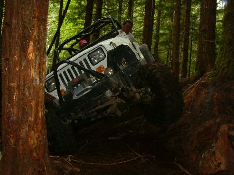 1990 Ford Bronco - A white Jeep Wrangler tackles a challenging off-road course deep within a dense forest.