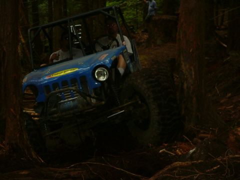 1990 Ford Bronco - This blue off-road buggy is shown tackling a challenging wooded trail with large tires and a protective roll cage.