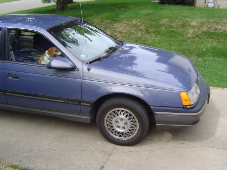 1991 Ford Taurus - I dont know why i took this picture.