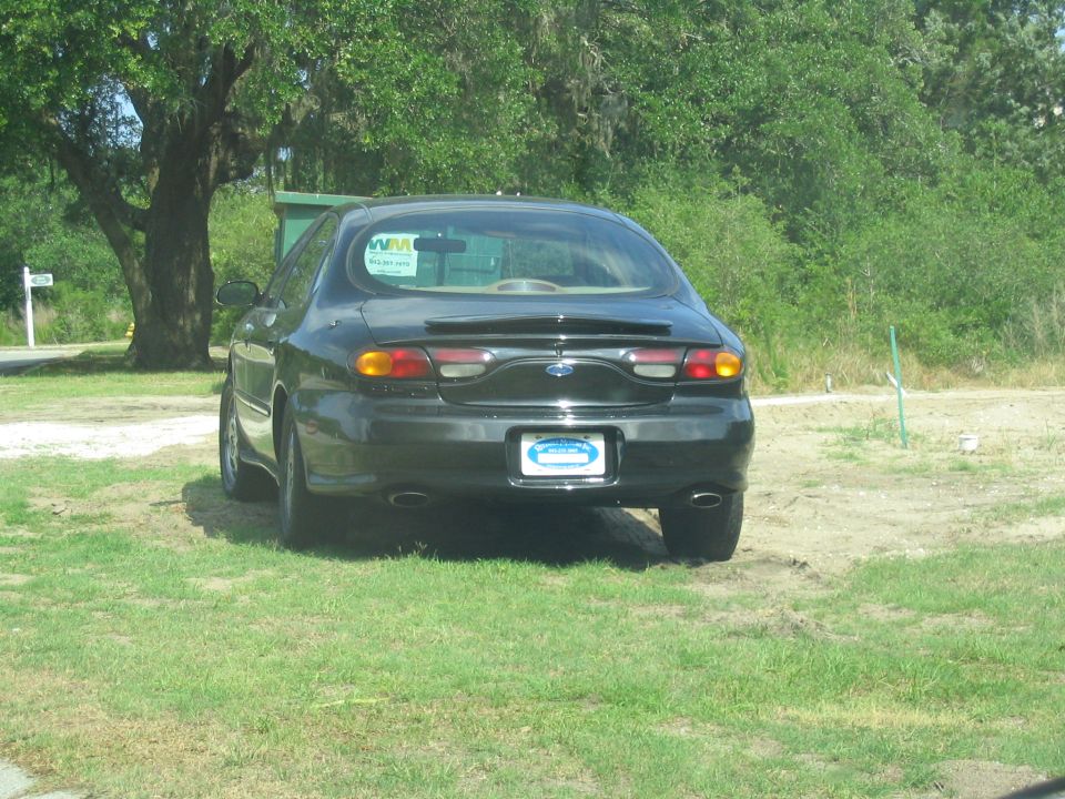 Black Ford Taurus sedan rear, parked on grass near a tree with a for-sale sign in the window