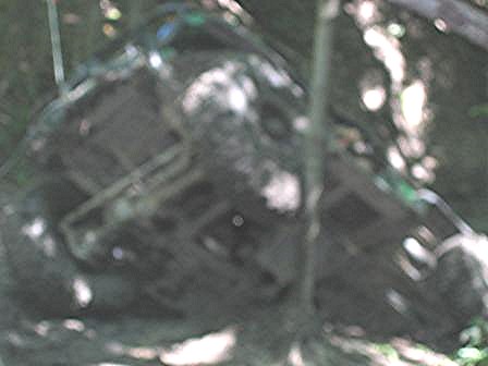 1992 Ford Bronco - The interior of a dark SUV is visible, a roll cage structure.