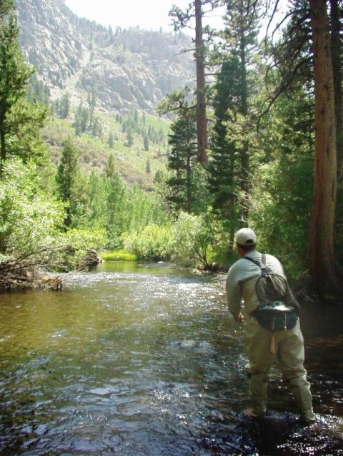1996 Ford Bronco - A lone angler casts a line into a flowing river, surrounded by lush greenery and a mountain landscape.
