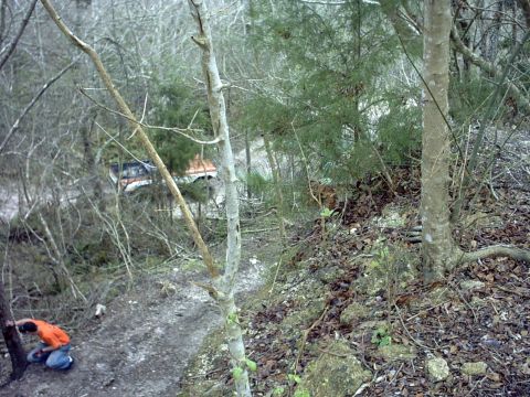 1994 Ford Bronco - An orange and white truck is seen in a wooded area, partially obscured by trees and foliage.