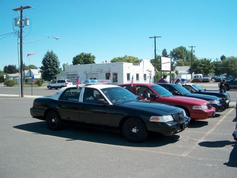2001 Ford Crown Victoria - A line of police cars, including a black and white unit, are parked under a clear blue sky.