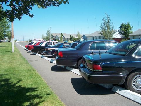 2001 Ford Crown Victoria - A line of police vehicles are parked side-by-side on a sunny day.