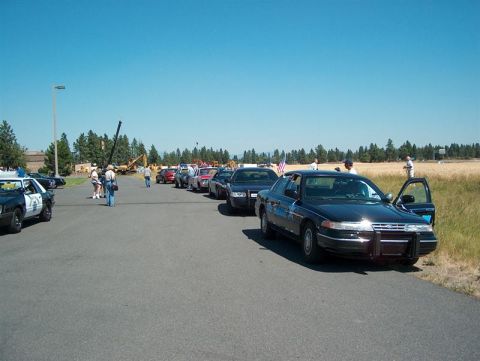 2001 Ford Crown Victoria - A line of Ford Crown Victorias, including a black sedan with its driver door open, are parked on an asphalt lot under a clear blue sky.