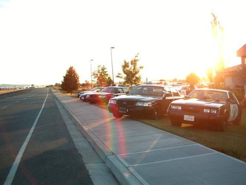2001 Ford Crown Victoria - Police cars parked on grass during sunset.