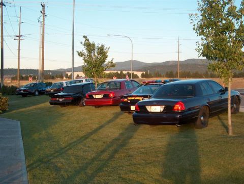 2001 Ford Crown Victoria - Several police cars are parked on a grassy area near a road.
