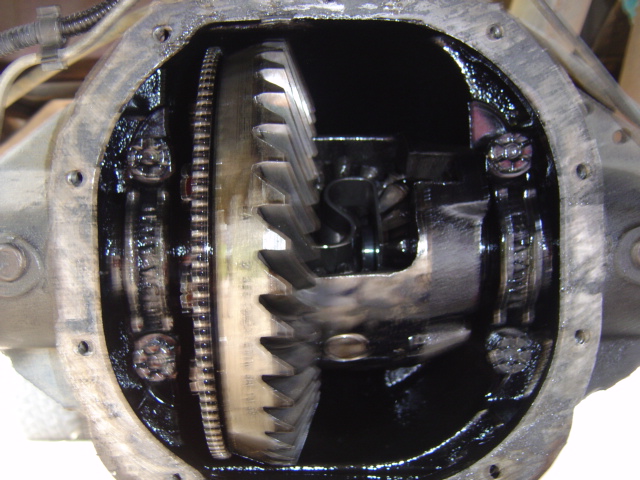 The pumpkin, and its blurry... Dont know if you can see, but the inner gears are all chewed up... :-(