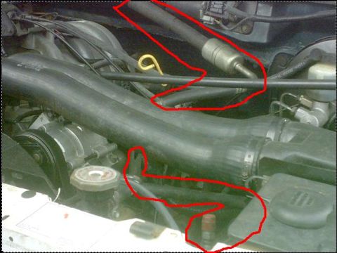 1992 Ford Bronco - Close-up view of engine components and hoses within the engine bay.