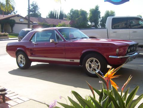 1967 Ford Mustang photo