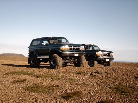 1996 Ford Bronco - Two Ford trucks, a Bronco and an F-Series, sit parked on a gravelly, open terrain under a clear blue sky.