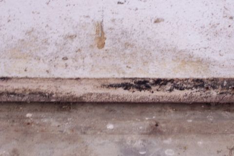 1990 Ford Bronco - Outside wall water damage