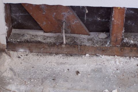 1990 Ford Bronco - Dust, termite poop, insect skeketons