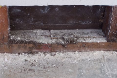 1990 Ford Bronco - Dust, termite poop, insect skeketons