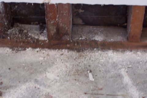 1990 Ford Bronco - Dust, termite poop, insect skeketons