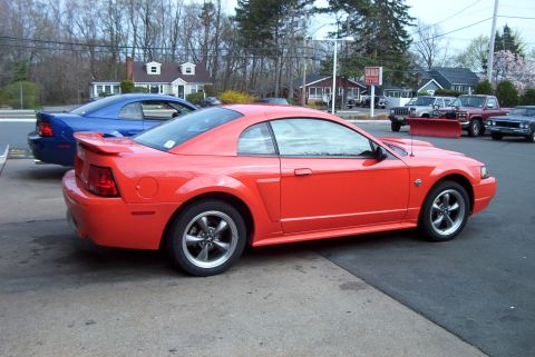 2004 Ford Mustang “the pumpkin”