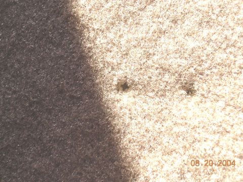 1994 Ford Bronco - the screws holding the support are barely noticeable with the carpeting