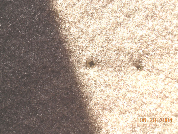 the screws holding the support are barely noticeable with the carpeting
