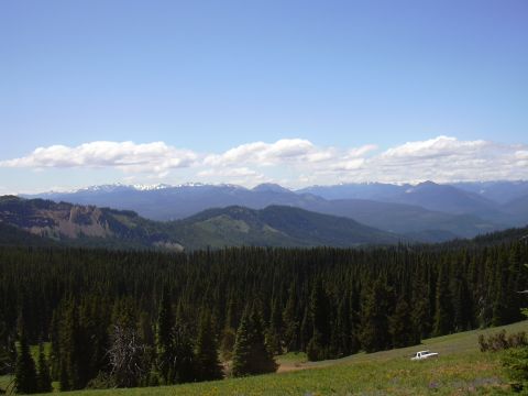 1991 Ford Bronco - A white SUV is parked on a grassy hill overlooking a vast forest and mountain range.