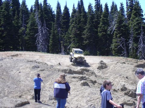 1991 Ford Bronco - A yellow Jeep Wrangler navigates a challenging off-road trail surrounded by pine trees.