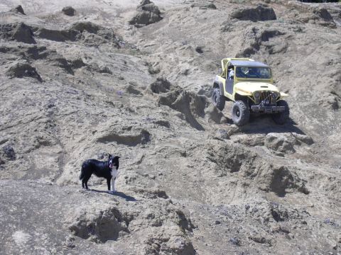 1991 Ford Bronco - A yellow Jeep Wrangler navigates a steep, rocky incline while a dog watches from the side.