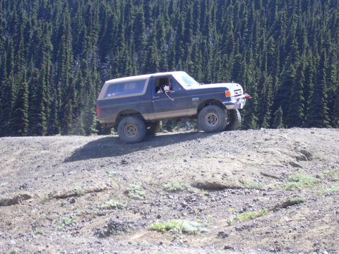 1991 Ford Bronco - A dark blue Ford Bronco with a tan top navigates a dirt road, with a dense forest providing a backdrop.