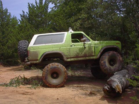 1986 Ford Bronco - Found a little log to drive on.