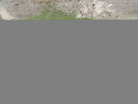 1990 Ford Bronco - patch of gravelly, rocky dirt ground with a thin strip of green grass across the middle of the frame.